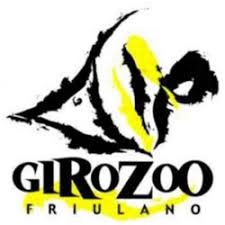Al momento stai visualizzando Giro Zoo Udine